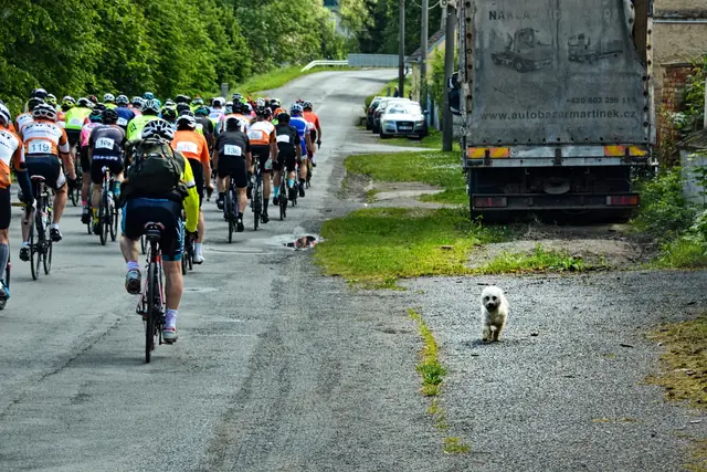 Fotografie 80 ze závodu Úhlava Tour 2024